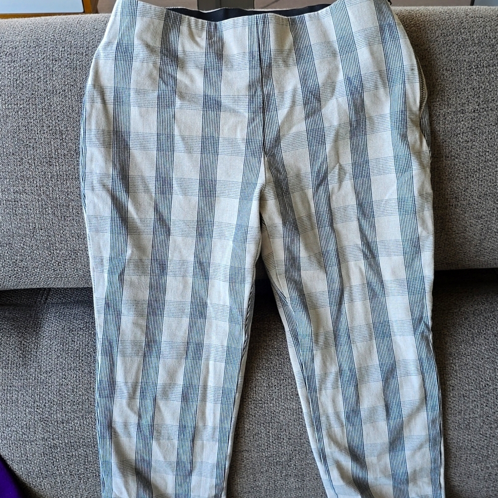 Dress pants